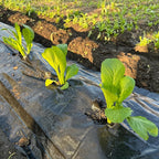 Weed Barrier Fabric Heavy Duty, Woven Weed Control Fabric, Non-Slip Outdoor Rubber Floor Mats, Weed Block Polyethylene Ground Co