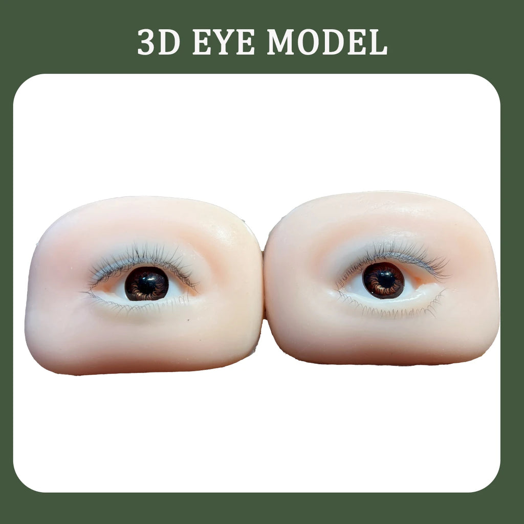 3D Highly Realistic False Eyelash Mannequin Flat Doll Head Korean Makeup Practice Tool for Lash Artists Eyelash Graft Training