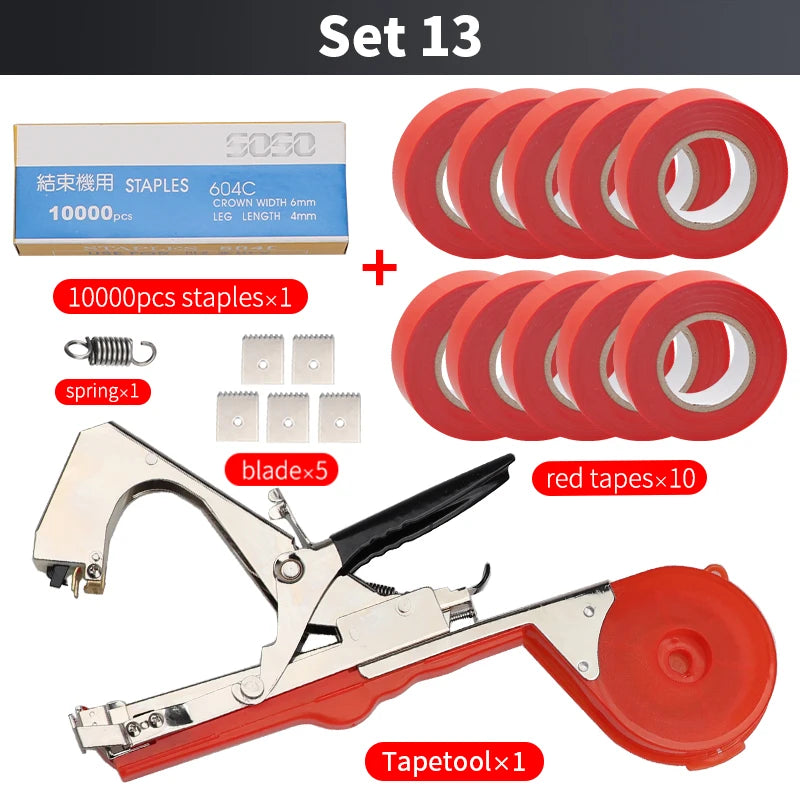 SET 13 as picture
