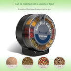 Automatic Fish Feeder｜Dual Moisture-Proof Bins｜100ml Capacity｜Precise Timing｜Anti-Jam Multi-Feed Compatible｜Easy to Clean