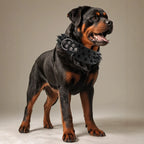 Fashion Anti Bite Rivet Sturdy Pu Leather Pet Collar Bulldog Domineering Adjustable Collar for Medium and Big Dog Pet Supplies