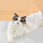4 Packs, 6 Pieces Per Pack, Pet No-Wash Gloves, Cat Bathing, Pet Wipes, Dog Dry Cleaning Cleaning Gloves, Sterilization, Deodorization, No-Wash Magic Tool