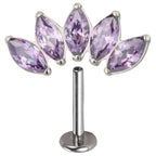 ASTM F136 Titanium EAR PIERC 5 Marquise Zircon Paved Top Threaded Labret Studs Tragus Pircing Earrings Lip studs Body Jewelry