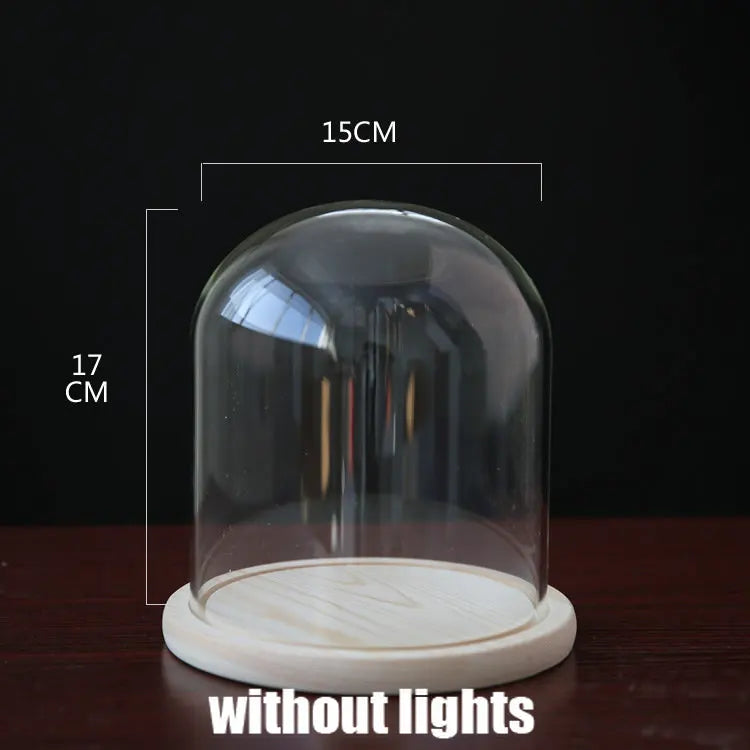 Tabletop Display Glass Cover Terrarium Container Decor Dry Flower Ornaments Craft Bell Jar Wood Base with Feet LED Light Holder