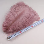 10Pcs 30-35cm Ostrich Feathers for Crafts Wedding Decoration 12-14" Handicraft Accessories Table Centerpieces Carnival Plumas