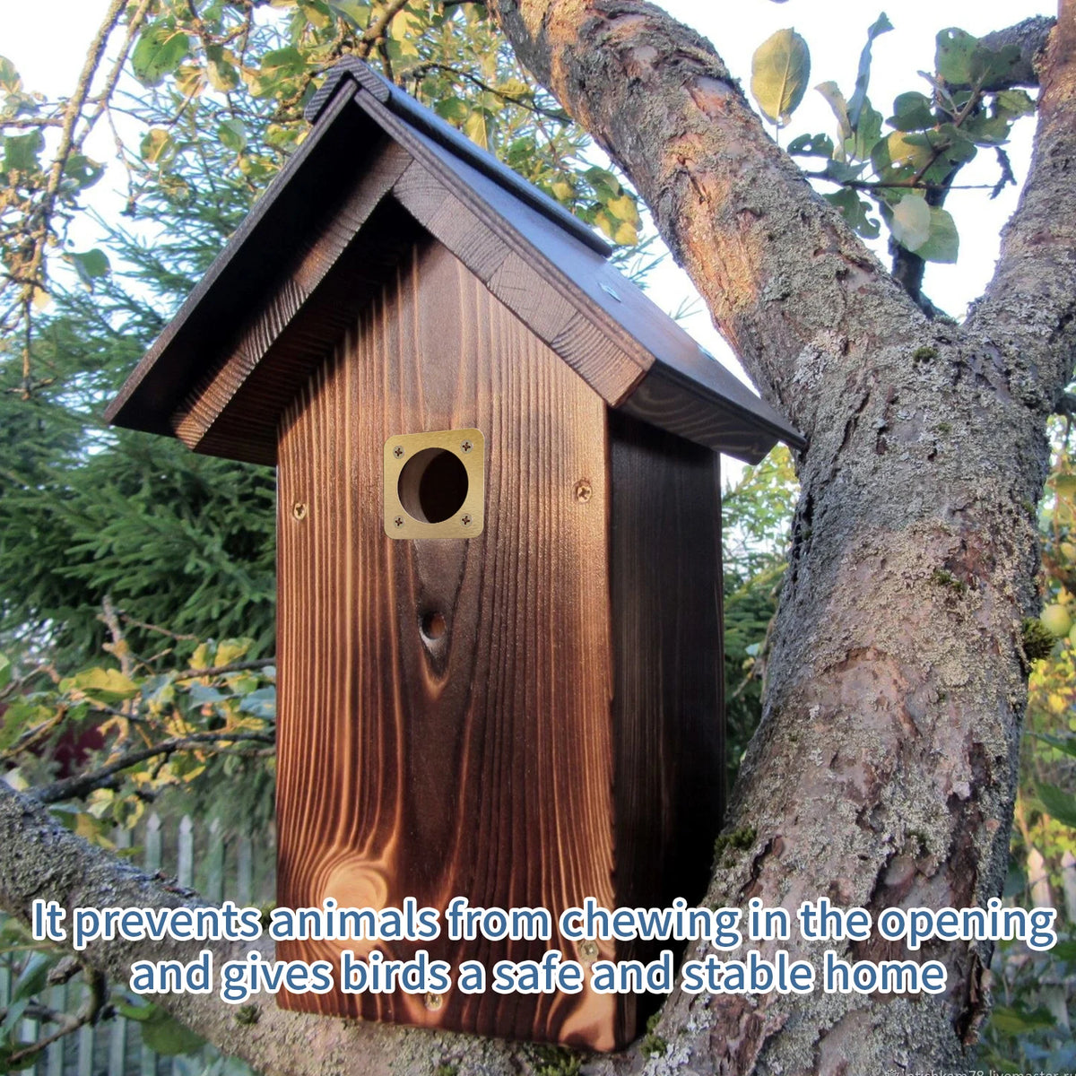 10Pcs Bird House Protective Cover 1/2 Inch Opening Rustproof Copper Bluebird House Predator Guard with Screw for Outdoor, Houses