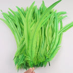 50Pcs 35-40cm Rooster Tail Feathers for Crafts Carnival Accessories Natural Long Plumes Chicken Decoration Feather Headdress