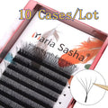 MARIA 10 Cases 4D W Shaped Beam Eyelash Extensions Patch Faux Private Label Wholesale Clusters Easy Fan Volume Lashes Makeup