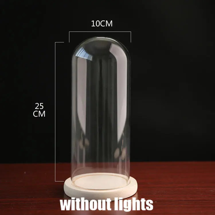 Tabletop Display Glass Cover Terrarium Container Decor Dry Flower Ornaments Craft Bell Jar Wood Base with Feet LED Light Holder
