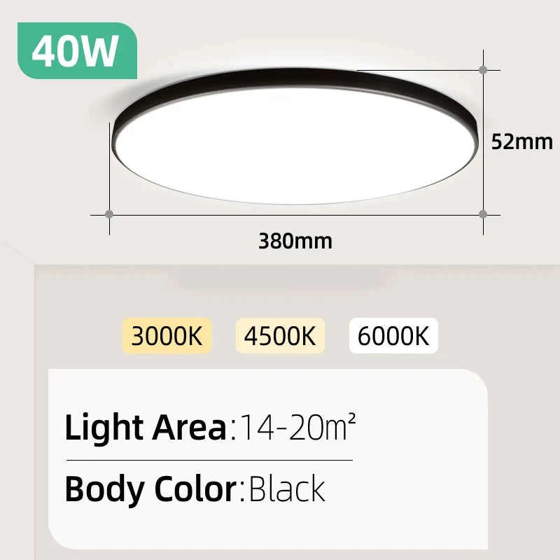 Black 40W 220V / 2PCS / Cold White