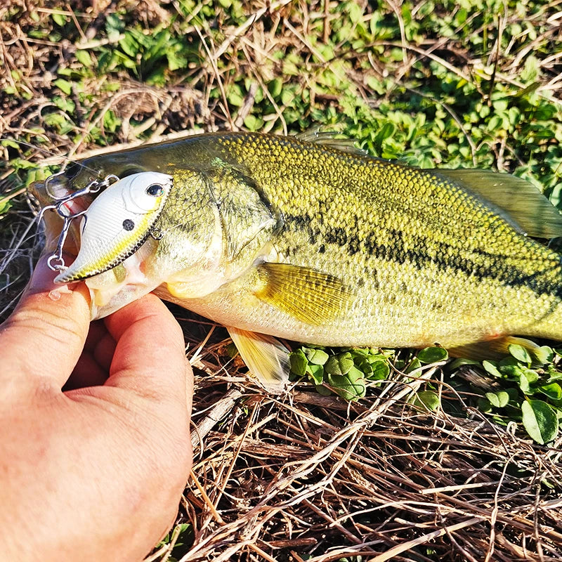 TSURINOYA 50S Vibration Fishing Lure Suit 5pcs 50mm 12.5g TEMPTER Winter Fishing VIB Hard Bait With Lure Box Lipless Tackle Kit