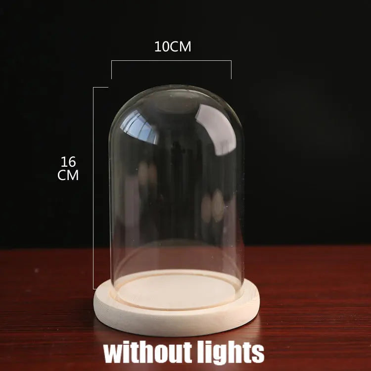 Tabletop Display Glass Cover Terrarium Container Decor Dry Flower Ornaments Craft Bell Jar Wood Base with Feet LED Light Holder