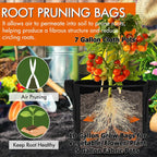 3/5/7 Gallon Grow Bags for Vegetable/Flower/Plant Fabric Pots with Handles Reinforced Aeration Planting Bags for Vegetables