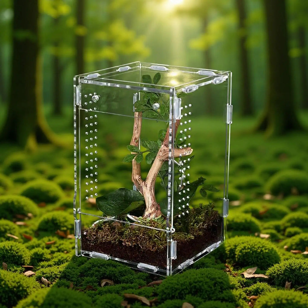 Front Opening Acrylic Jumping Spider Enclosure Escape Proof Habitat 12x12x20cm