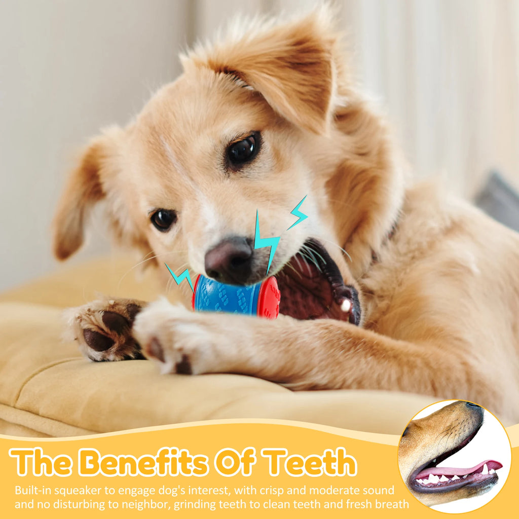 Squeaky Dog Balls Chew Toys Set, TPR Durable Interactive Teeth Cleaning, 6pcs