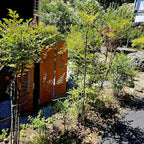 4pcs Hand-Welded Rustic Iron Fern Panel Privacy Screen with Stakes - Durable Outdoor/ Garden Fence Suitable for, Wedding