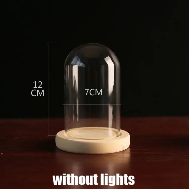 Tabletop Display Glass Cover Terrarium Container Decor Dry Flower Ornaments Craft Bell Jar Wood Base with Feet LED Light Holder