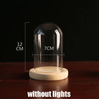 Tabletop Display Glass Cover Terrarium Container Decor Dry Flower Ornaments Craft Bell Jar Wood Base with Feet LED Light Holder