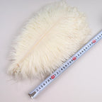 cream / 30-35cm 10pcs