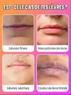 Spicule Lip Plumper Gloss Moisturizing Long-Lasting, Multi-Pack (1pc/3pc/5pc/10pc/22pc)