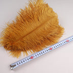 10Pcs 30-35cm Ostrich Feathers for Crafts Wedding Decoration 12-14" Handicraft Accessories Table Centerpieces Carnival Plumas
