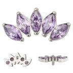 ASTM F136 Titanium EAR PIERC 5 Marquise Zircon Paved Top Threaded Labret Studs Tragus Pircing Earrings Lip studs Body Jewelry