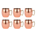 6PCS / 500ml