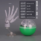 10.5cm Human Hand Model With Movable Finger Joints 1:2 Simulation Palm  Desktop Ornamenttoy Twisted Egg Surprise Blind Box