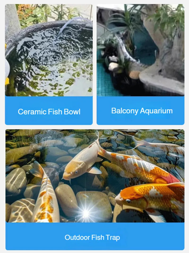 Small Solar Oxygen Pump Supplies Oxygen Day and Night for The Pool and Fish Tank To Continuously Bubbling Oxygen for Small Fish