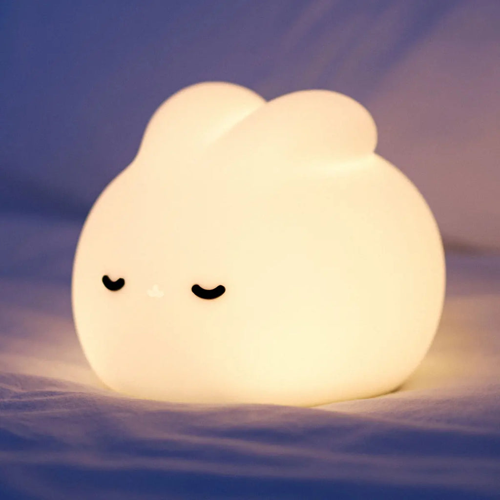 LED Night light Cute duck Cartoon animals Silicone lamp for children kid Touch Sensor Timing USB Rechargeable for birthday gifts