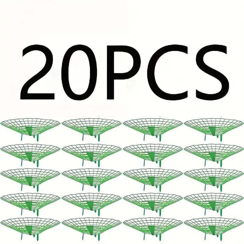20pcs