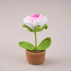 Mini Tulips Crochet Flowers Potted Cute Knitting Flowers Table Car Decor Handmade Artificial Tulips Flores Tejidas