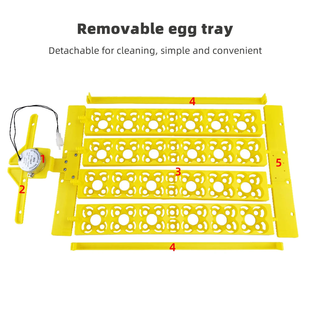 24 Eggs Incubator 12V 110V 220V Egg Tray Eggs Turning Automatic Egg Hatching Incubator for Quail  Goose Duck Bird Poultry