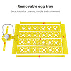 24 Eggs Incubator 12V 110V 220V Egg Tray Eggs Turning Automatic Egg Hatching Incubator for Quail  Goose Duck Bird Poultry