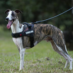 Dogs Harness Customizable Personalized Patches Dog Vest Eazy Control Handle Adjustable Backing Small Medium Large Pet Dog Collar