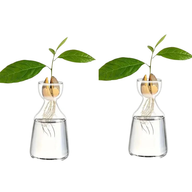 Four-piece Avocado Seed Starter Vase- Grow Your Own Avocado Tree Unique Glass Planting Pot for Gardening Lovers Start Your Green