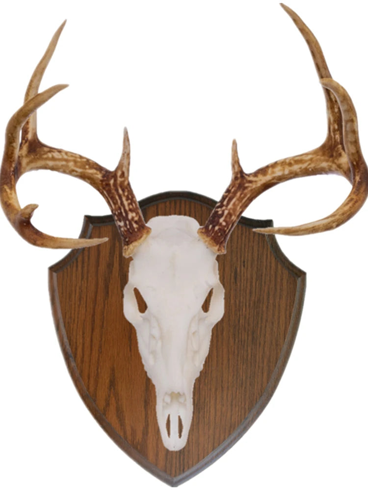 Oak Base Shields Solid Oak Shield Antler Taxidermy Plaque Roe Trophy Plate Buck Wooden Base Shields Mounting